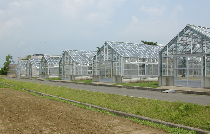 ｇｌａｓｓｈｏｕｓｅ．ｊｐｇ