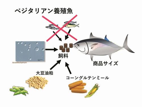 飼料栄養学