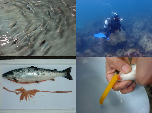 海洋生物育成学