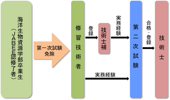 ジャビー資格取得の流れ