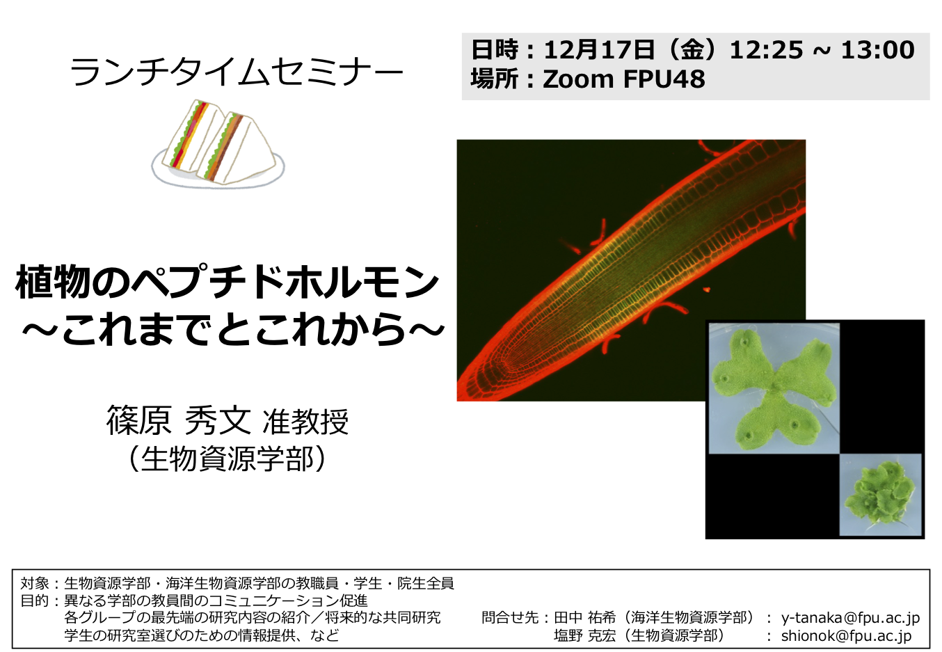 ランチタイムセミナー篠原