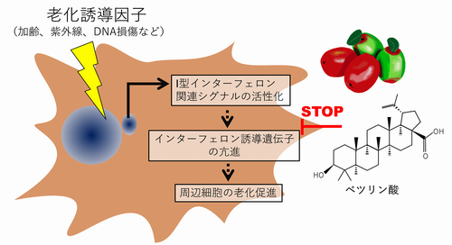 図1