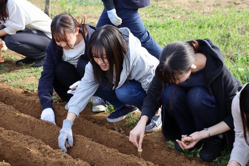 写真2