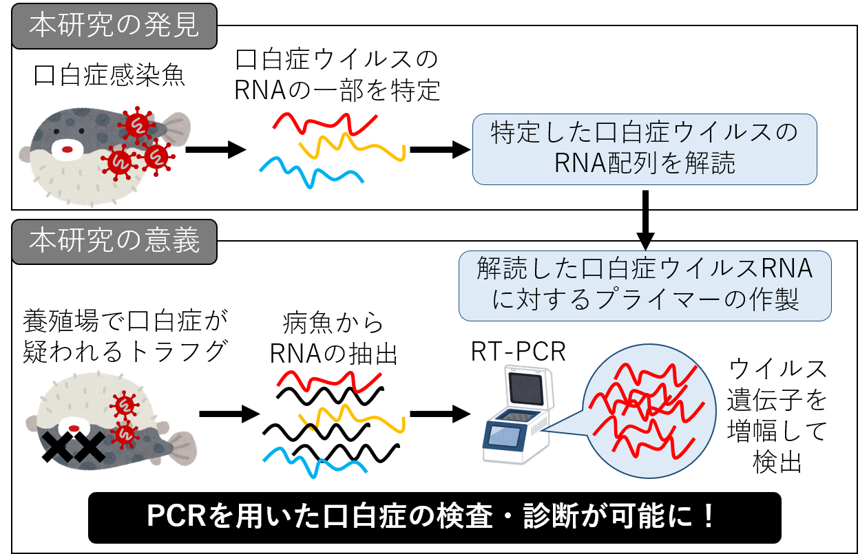 研究説明図