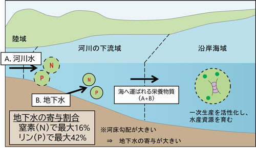 杉本先生