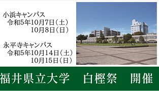 白樫祭