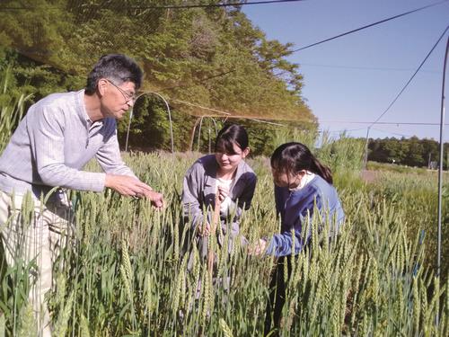 植物遺伝育種学