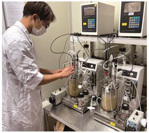 応用微生物学分野