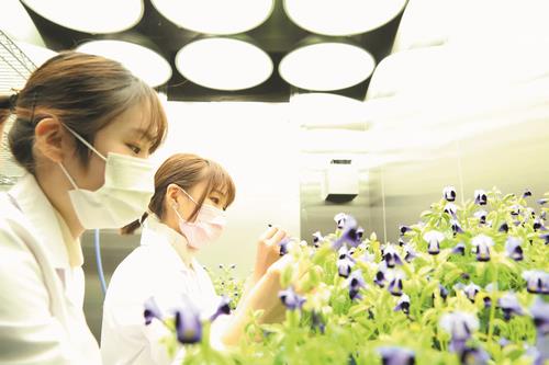 植物遺伝資源学分野
