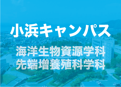 バナー小浜キャンパス