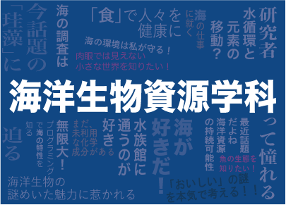 バナー海洋学科