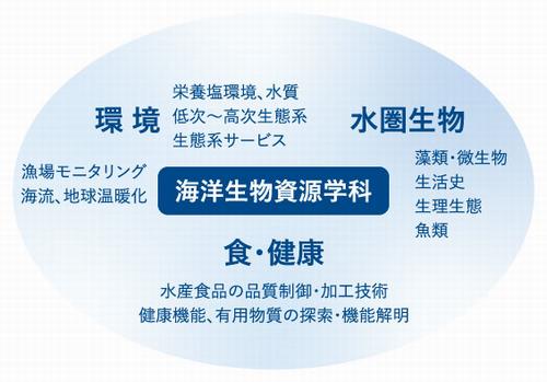 学科の特長図2024