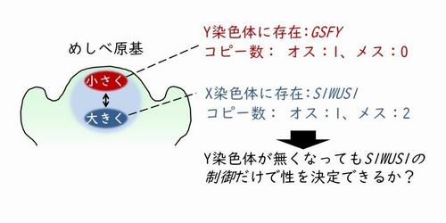 図4