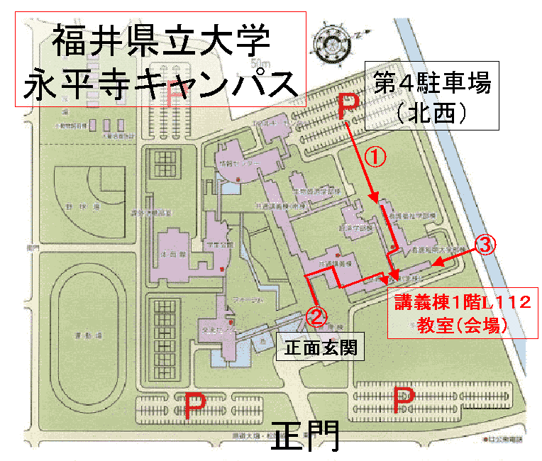 kaijo_michi5.gif