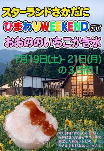 風間先生5
