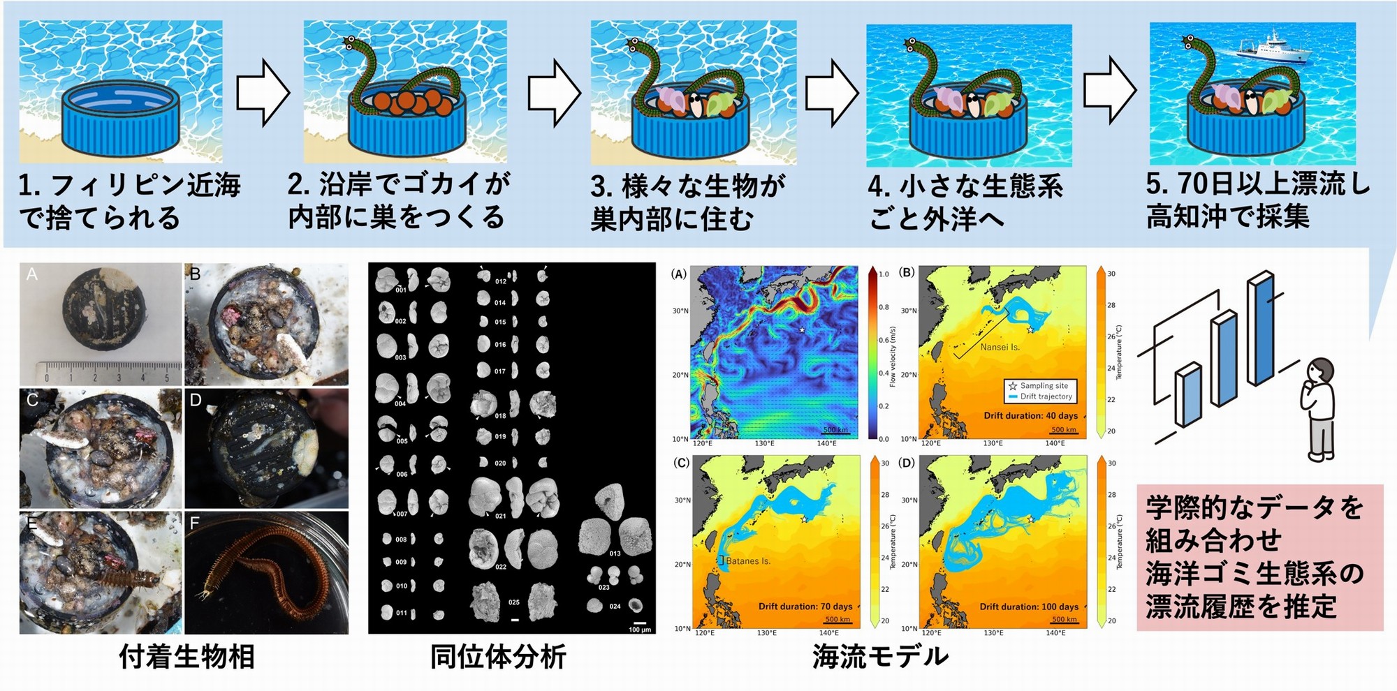研究概要