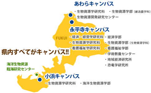 県立 コロナ 福井 大学